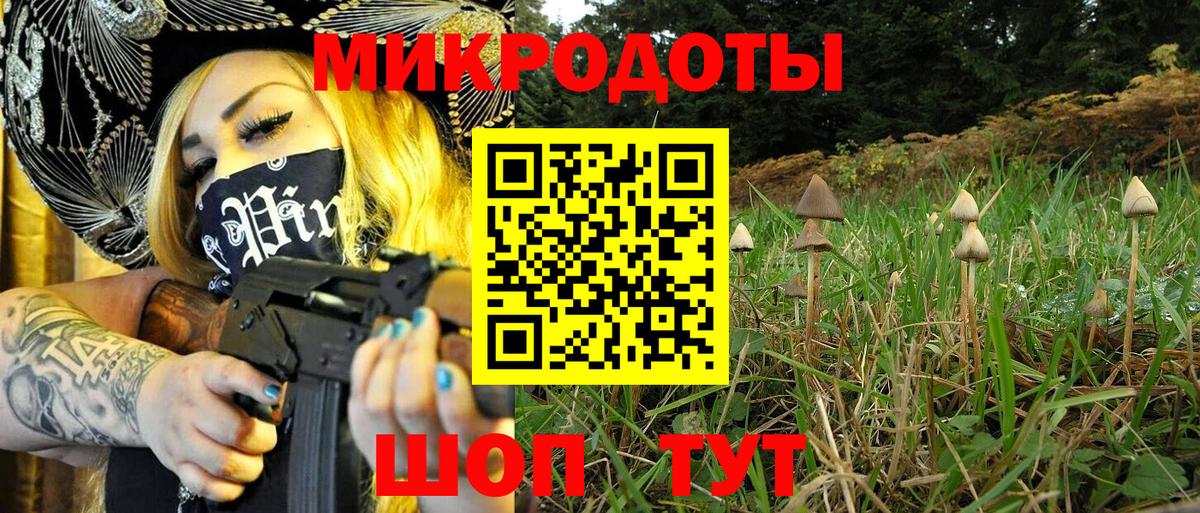 Псилоцибиновые грибы мухоморы  Псилоцибиновые грибы MAGIC MUSHROOMS  Саратов  Вход с VPN 